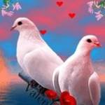 Komal Kanty Mistry Profile Picture