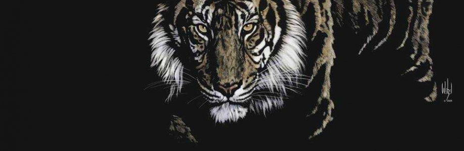 Arafat Ameen Cover Image