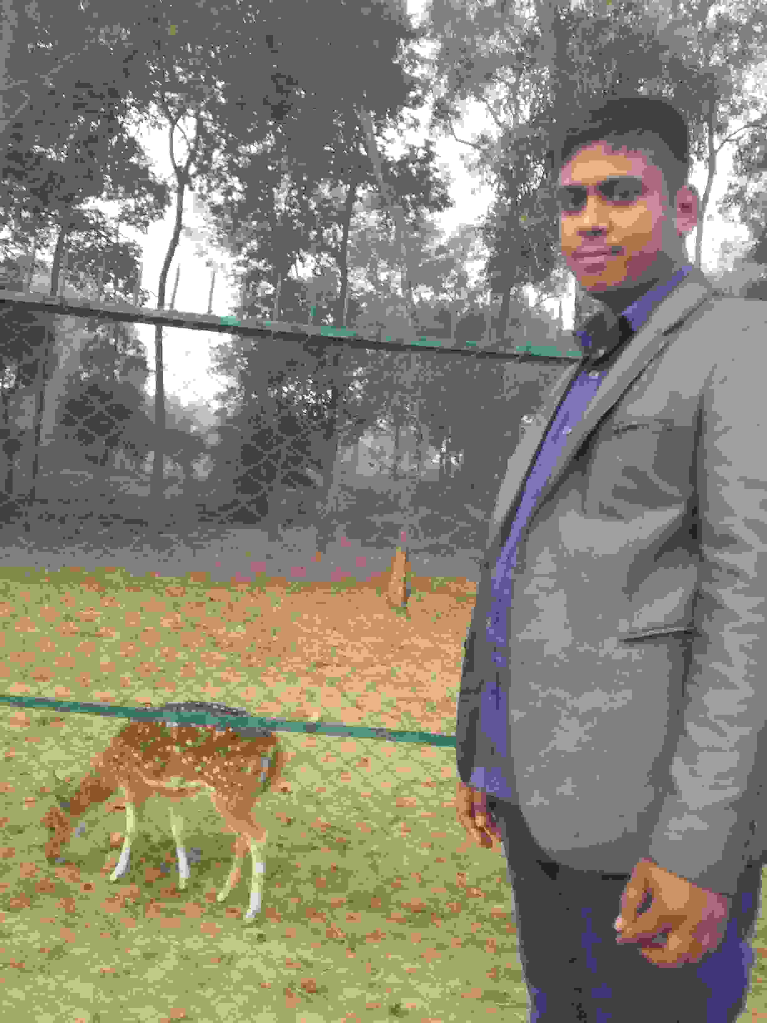 mf nazim Profile Picture