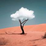 Nasir Uddin Profile Picture