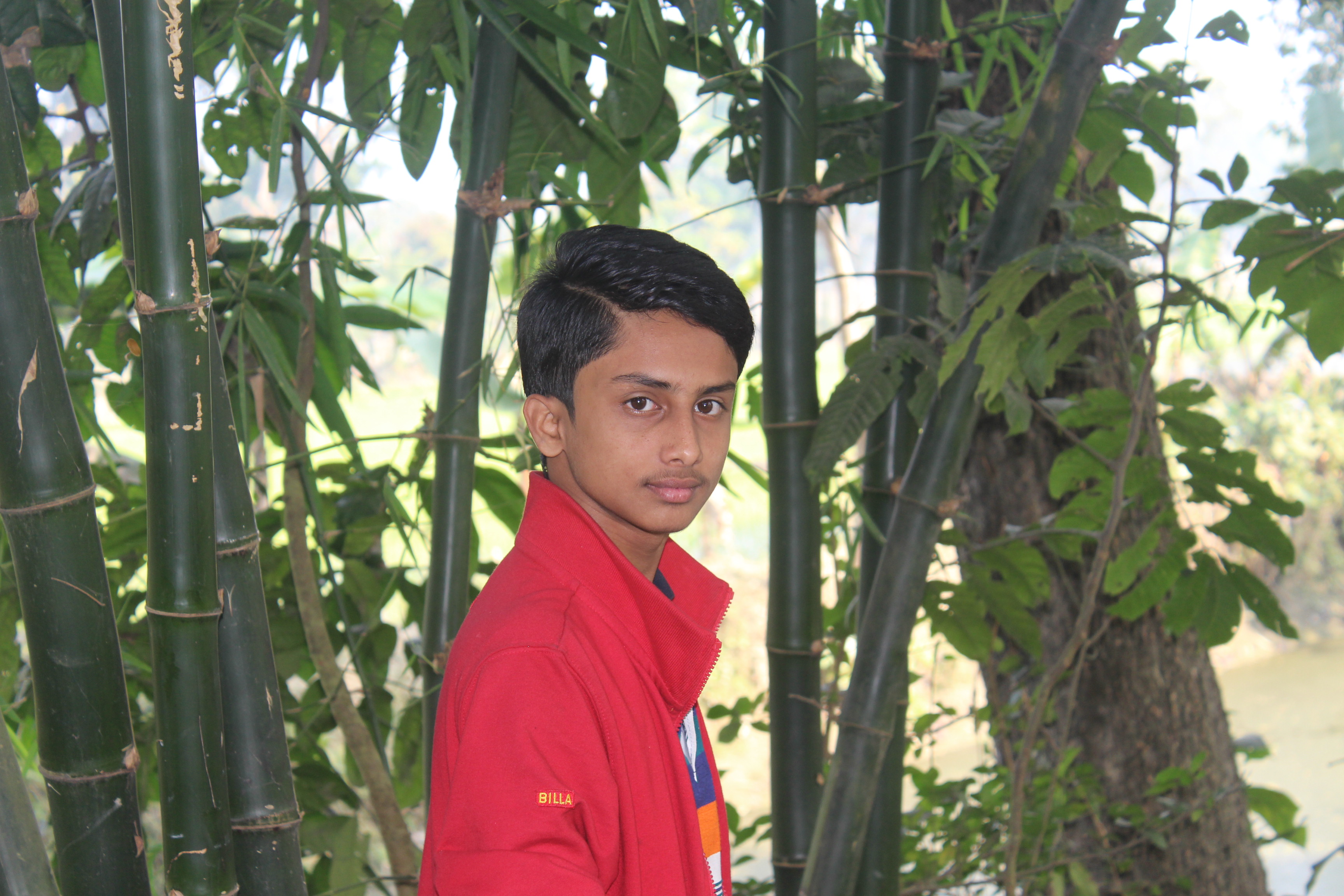 Alone Etul Cover Image