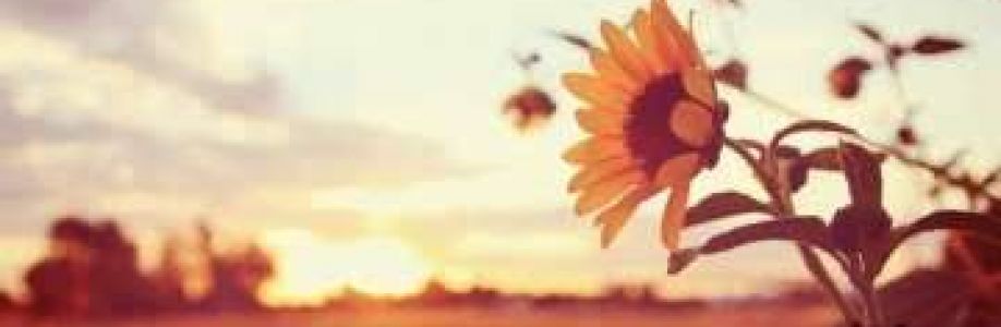 MD Sumon Cover Image