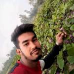 Md Roni Shekh Profile Picture