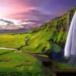 Abu Zihad Profile Picture