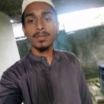 Md Alamgir Hussain Profile Picture
