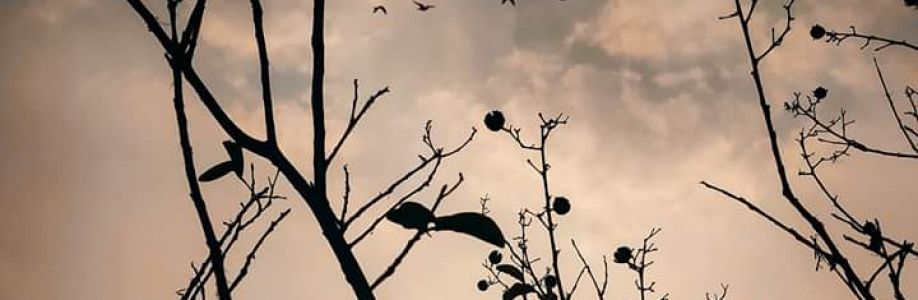 Tanveen Tumpa Cover Image