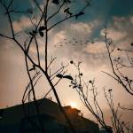 Tanveen Tumpa Profile Picture