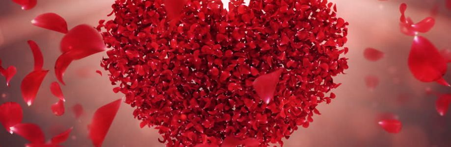 Mahira Jahan Cover Image