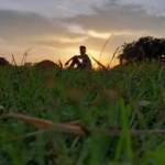 Bayazed Ahamed Profile Picture