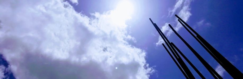 Al-amin Sheikh Cover Image