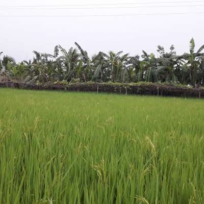 Taher84901 Profile Picture