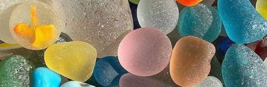 Afroja Roji Cover Image