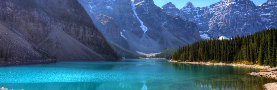 Md. Raju Ahmed Cover Image