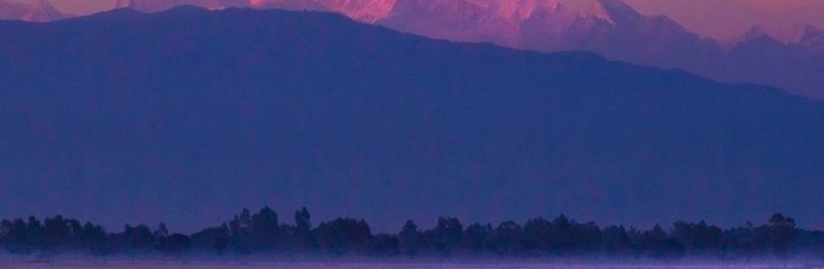 Sumon Ray Cover Image