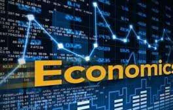 Elementary Economic Perceptions for AP Economics