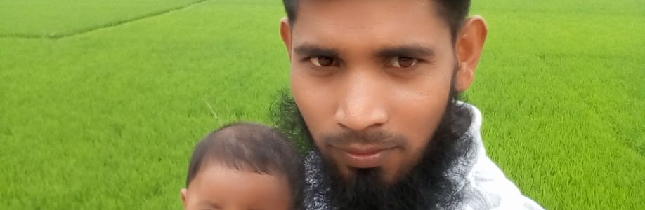 Al Amin Sarker Cover Image