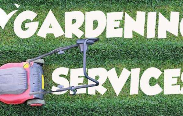 Five Elements of Garden Design