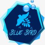 Blue Birds Profile Picture
