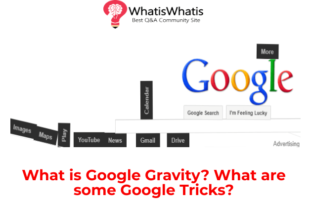 What is Google Gravity, How to Use and Some Tricks? | Trainingsadda