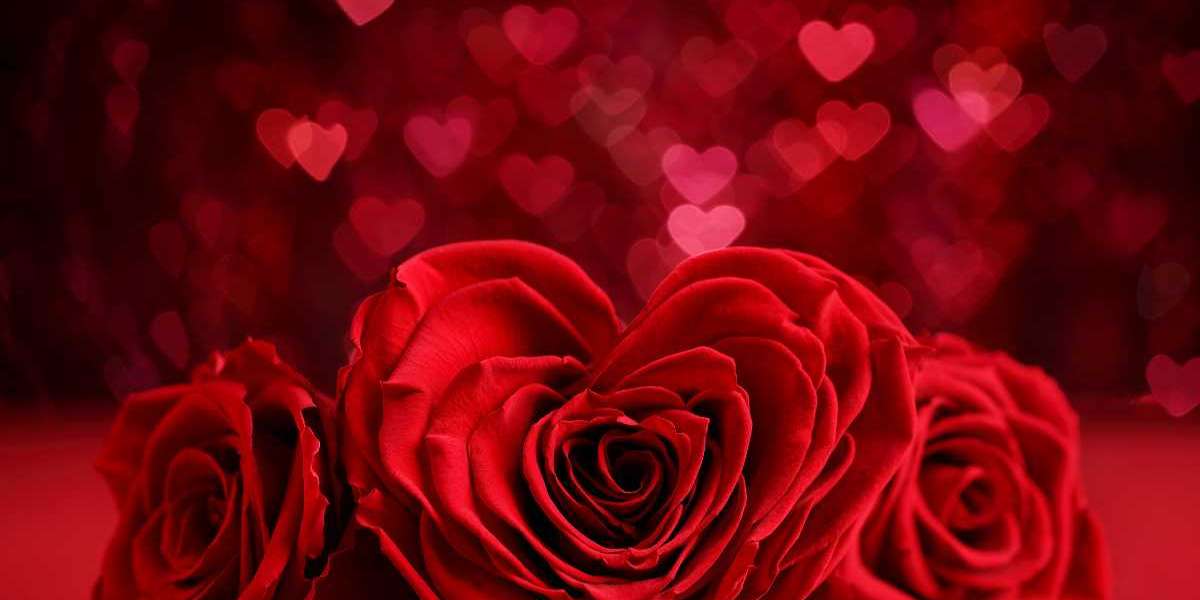 5 Reasons why choose red roses for Valentine's Day.