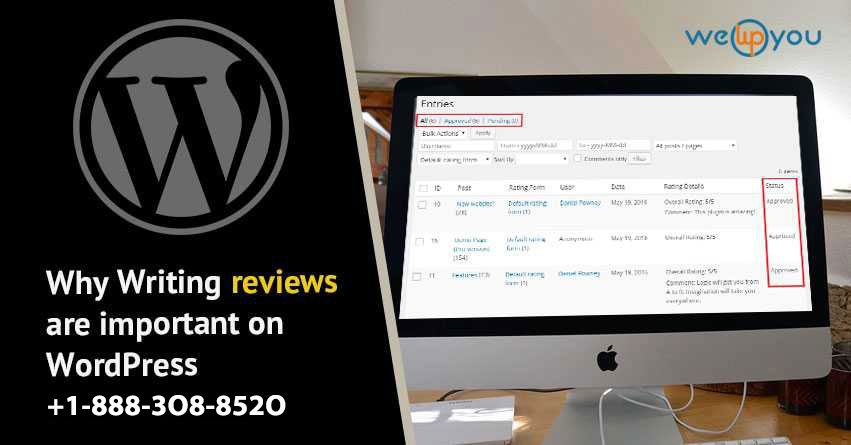 Why Writing reviews are important on WordPress - wewpyou