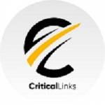 Critical Links Profile Picture