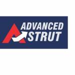 Advanced Strut Profile Picture