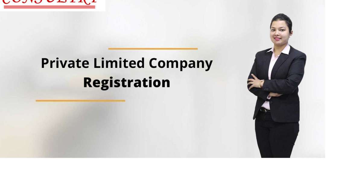 Private Limited Company Registration in Bangalore