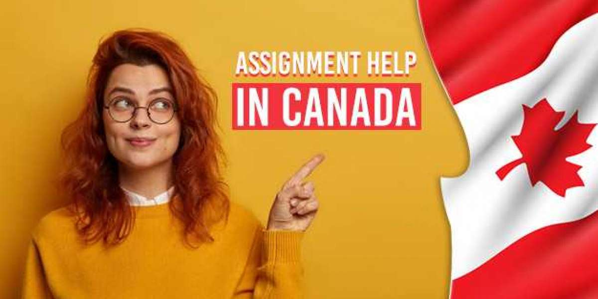 Find the Right Assignment Help provider to Score High |