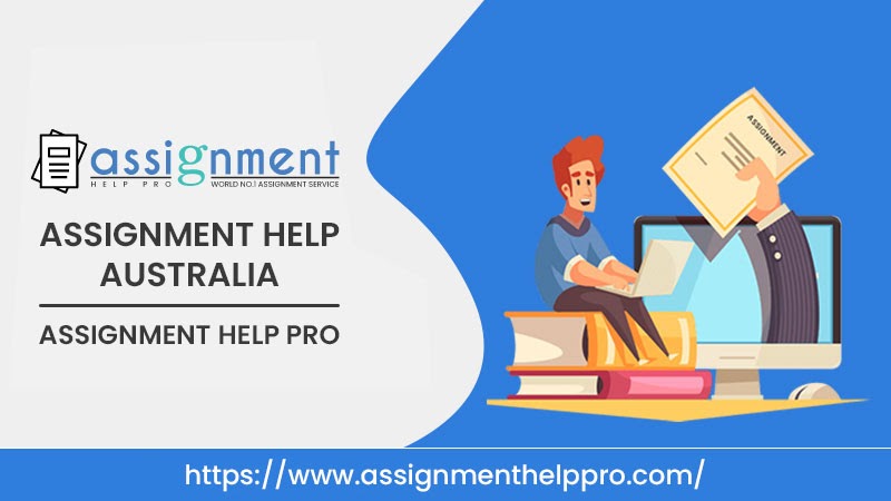 Assignment Help – Our different kinds of assistance & online support