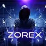 Zorex Zisa Profile Picture