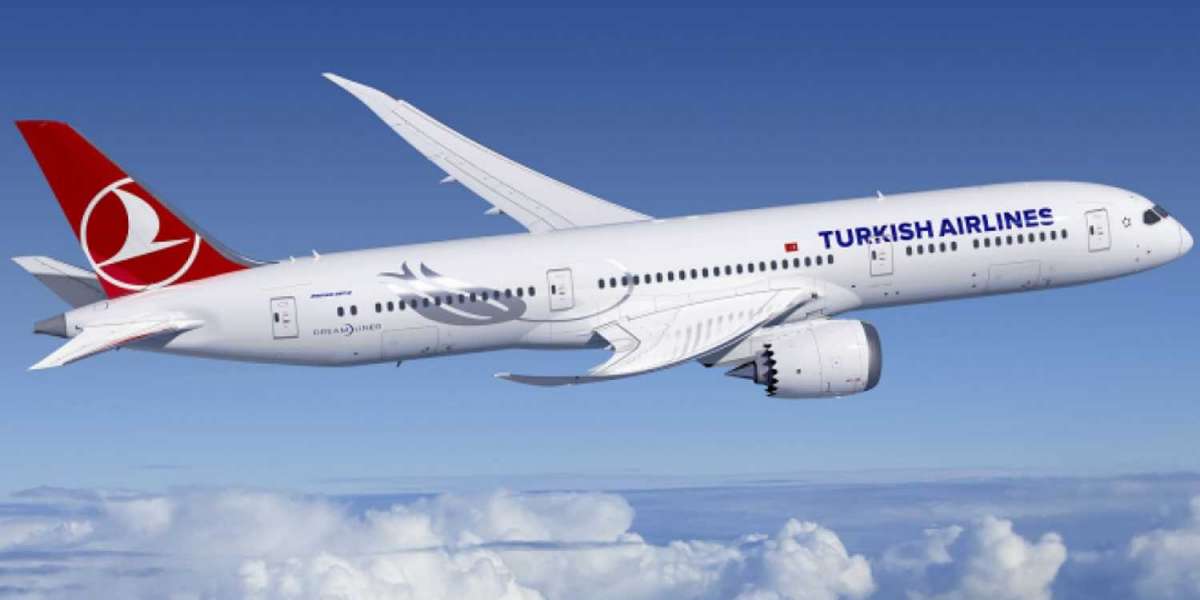 What is The Pet Policy Of Turkish Airlines?