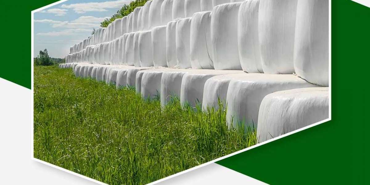 Feeding Hygienic Silage All You Need To Know About