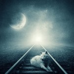 mark Johnson Profile Picture