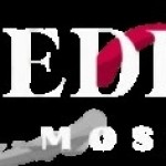 Zulfikar Hussain Profile Picture