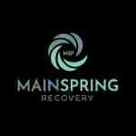 Mainspring Recovery Profile Picture